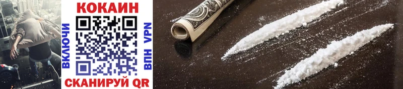 COCAIN Fish Scale  где продают наркотики  Салехард 