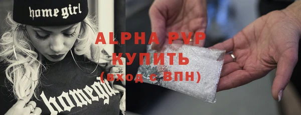 стаф Арсеньев