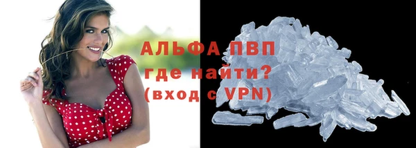 стаф Арсеньев