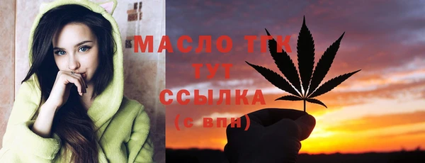 стаф Арсеньев