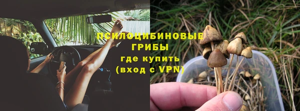 стаф Арсеньев